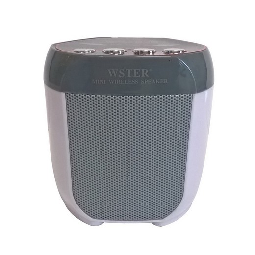 Multimedia Lautsprecher mit Bluetooth,FM-Radio,USB,Micro-SD und Disco-LED WS-Y92B