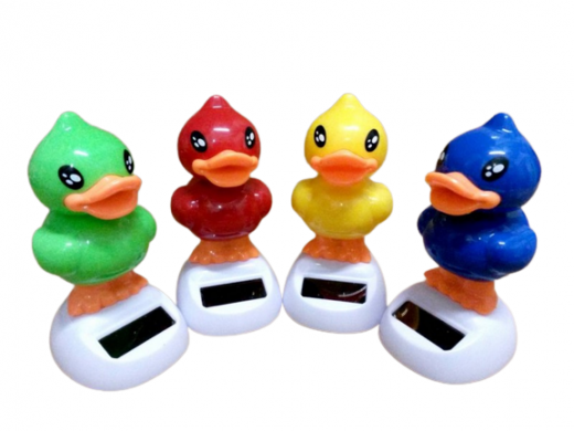 Solar powered ducks in different colors
