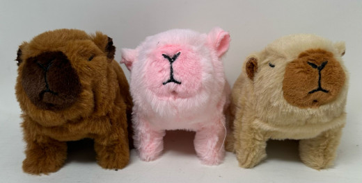 Spielezug Wasserschwein