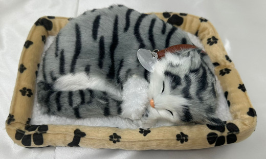 Simulierte Katze, mit Ton und Bewegung