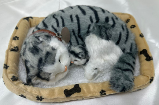 Simulierte Katze, mit Ton und Bewegung