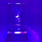 Kristallglas mit 3D Innengravur 5x8mm mit Motiv #100119