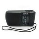 Multimedia Lautsprecher mit Bluetooth,FM-Radio,USB,Micro-SD und Disco-LED WS-Y92B