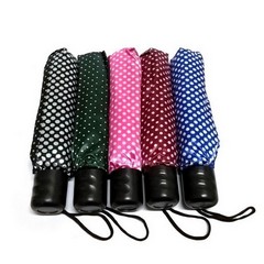 Umbrella dotted 25-55cmx 95cm in a box of 12 (assorted colors)