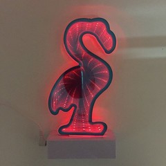Luminous 3D LED mirror image with bird motif