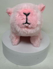Spielezug Wasserschwein